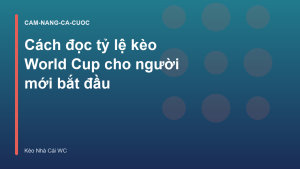 Read more about the article Cách đọc tỷ lệ kèo World Cup cho người mới bắt đầu